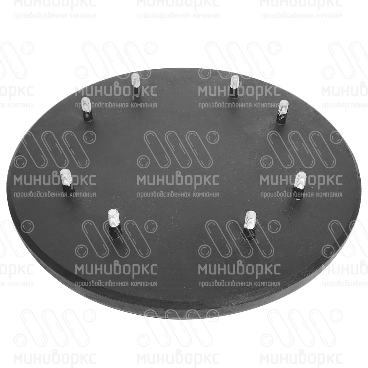 Армированный прорезиненный диск Ø300 мм для тренажёров, цвет черный – ДР300ЧМ - 2